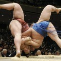 Сумо – состязательное представление, в котором два борца (рикиши или сумотори) соревнуются силами на круглой арене (дохё).